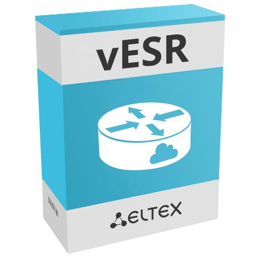 Виртуальный сервисный маршрутизатор vESR BASIC