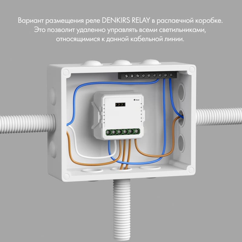 Реле-диммер двухканальное Wi-Fi 2х100 Вт DENKIRS RL1004-DM