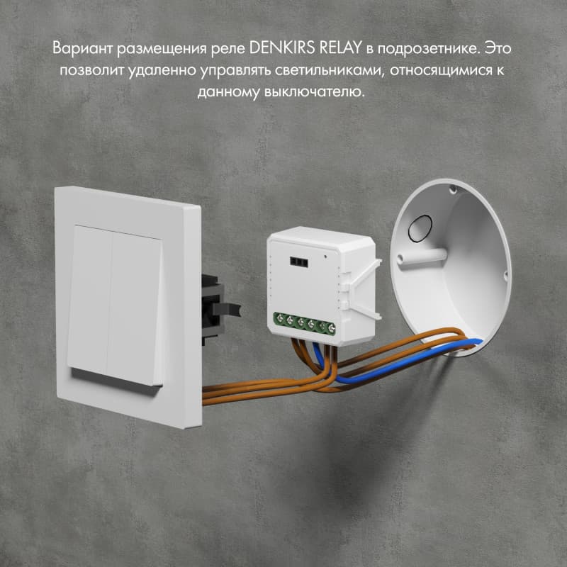 Реле-диммер двухканальное Wi-Fi 2х100 Вт DENKIRS RL1004-DM