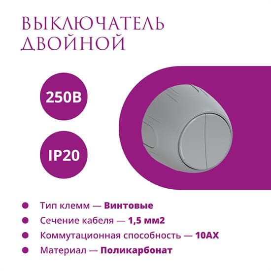 Выключатель двойной  Rotondo, цвет серый