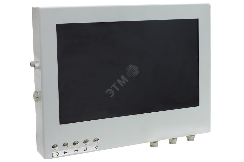 Монитор 21'' взрывозащищенный, 1920х1080, IP68, оцинк сталь, аналоговый