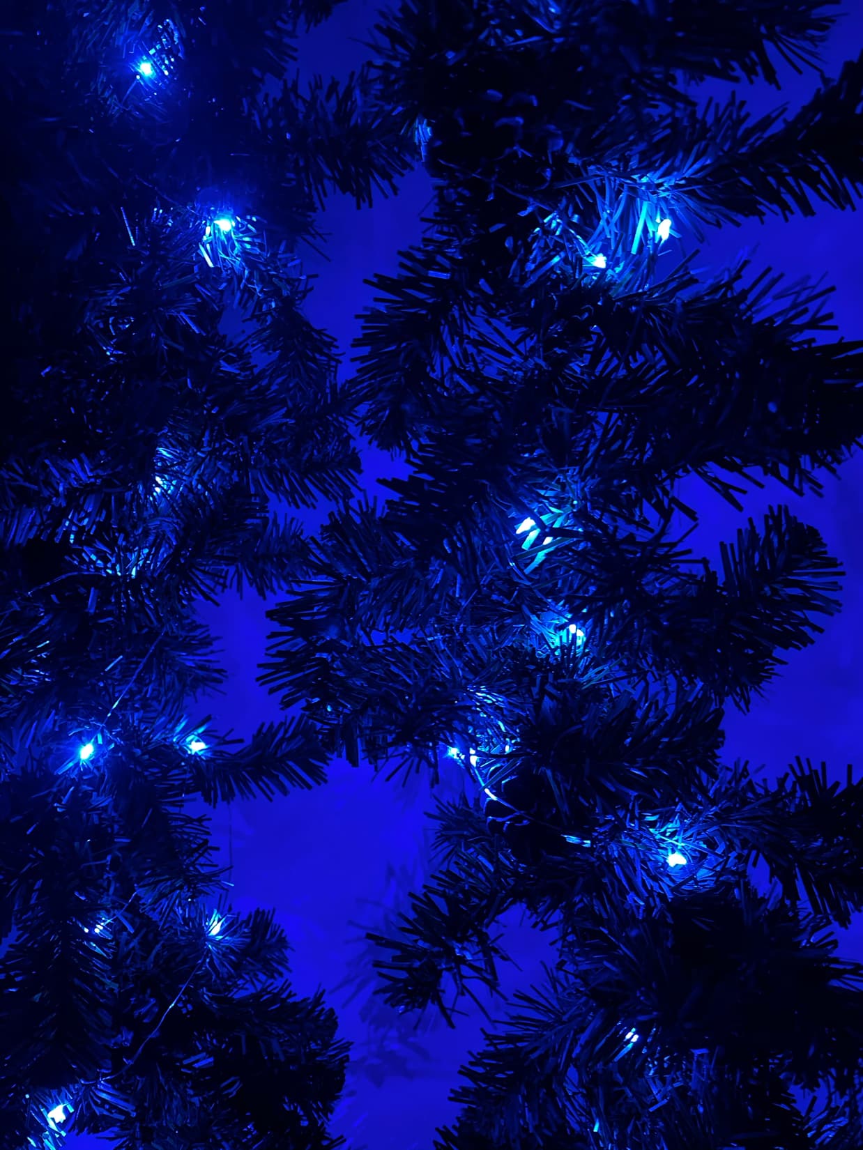 Гирлянда LED Нить 5 м синий свет, АА ENIN -5NB