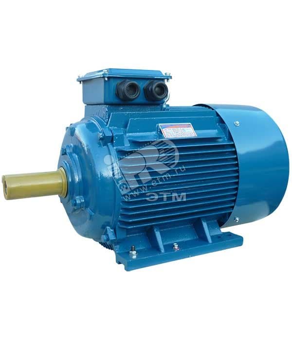 Электродвигатель 5АИ 200 L2 45/3000 IM 1001