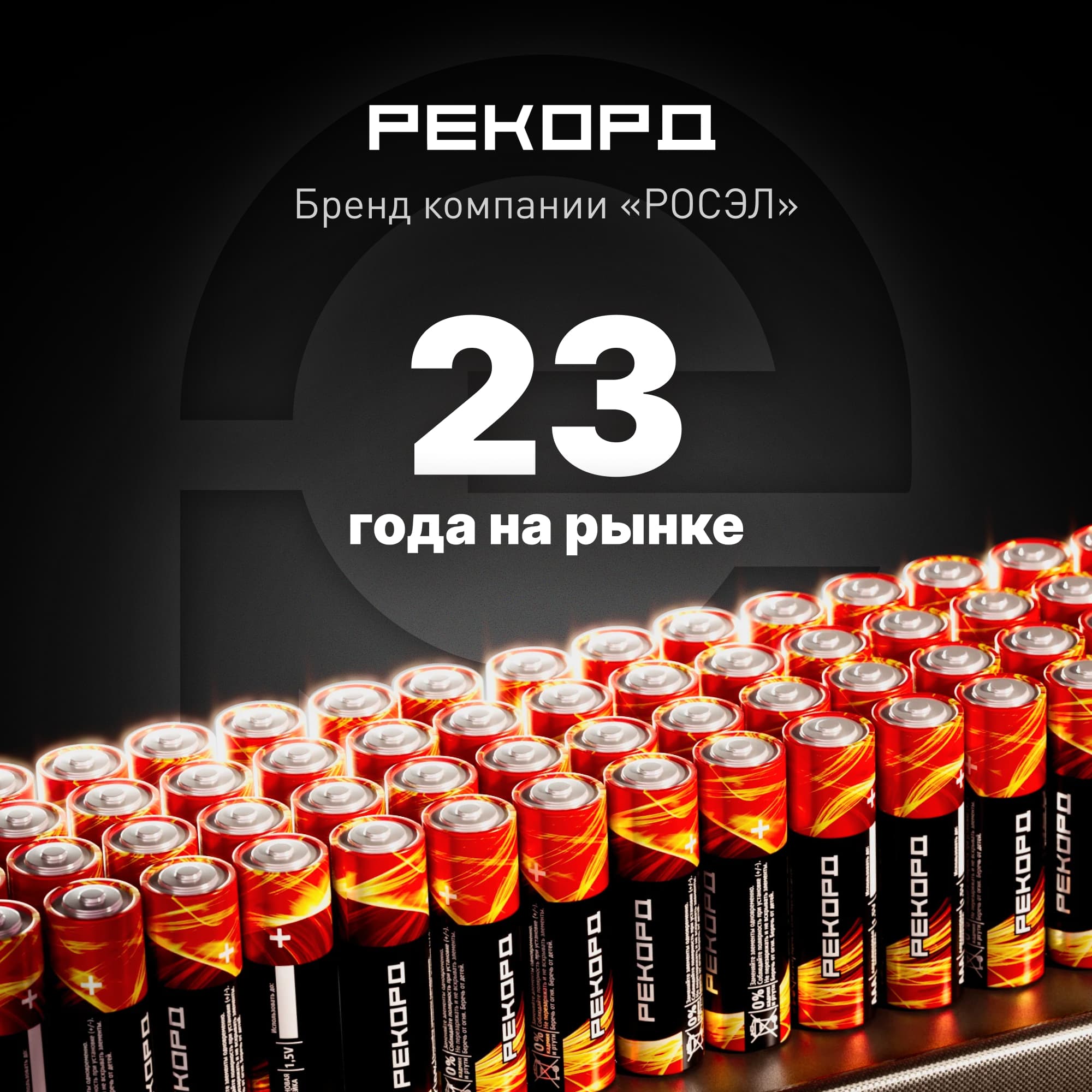 Элемент питания РЕКОРД LR03 BP10