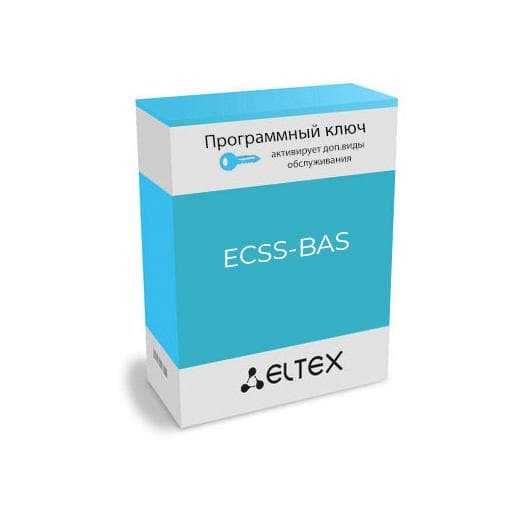 ЛИЦЕНЗИЯ (ОПЦИЯ) ECSS-BAS
