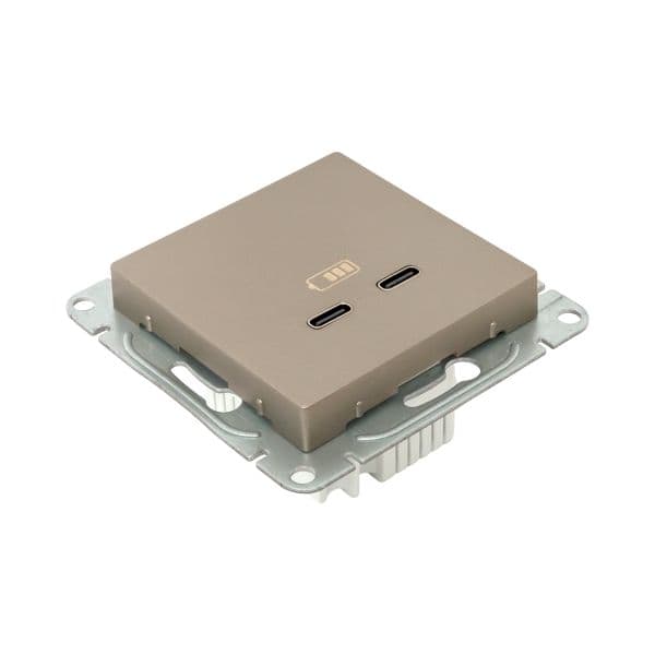 Механизм розетки USB-C - 2шт  шампань Эпика EKF