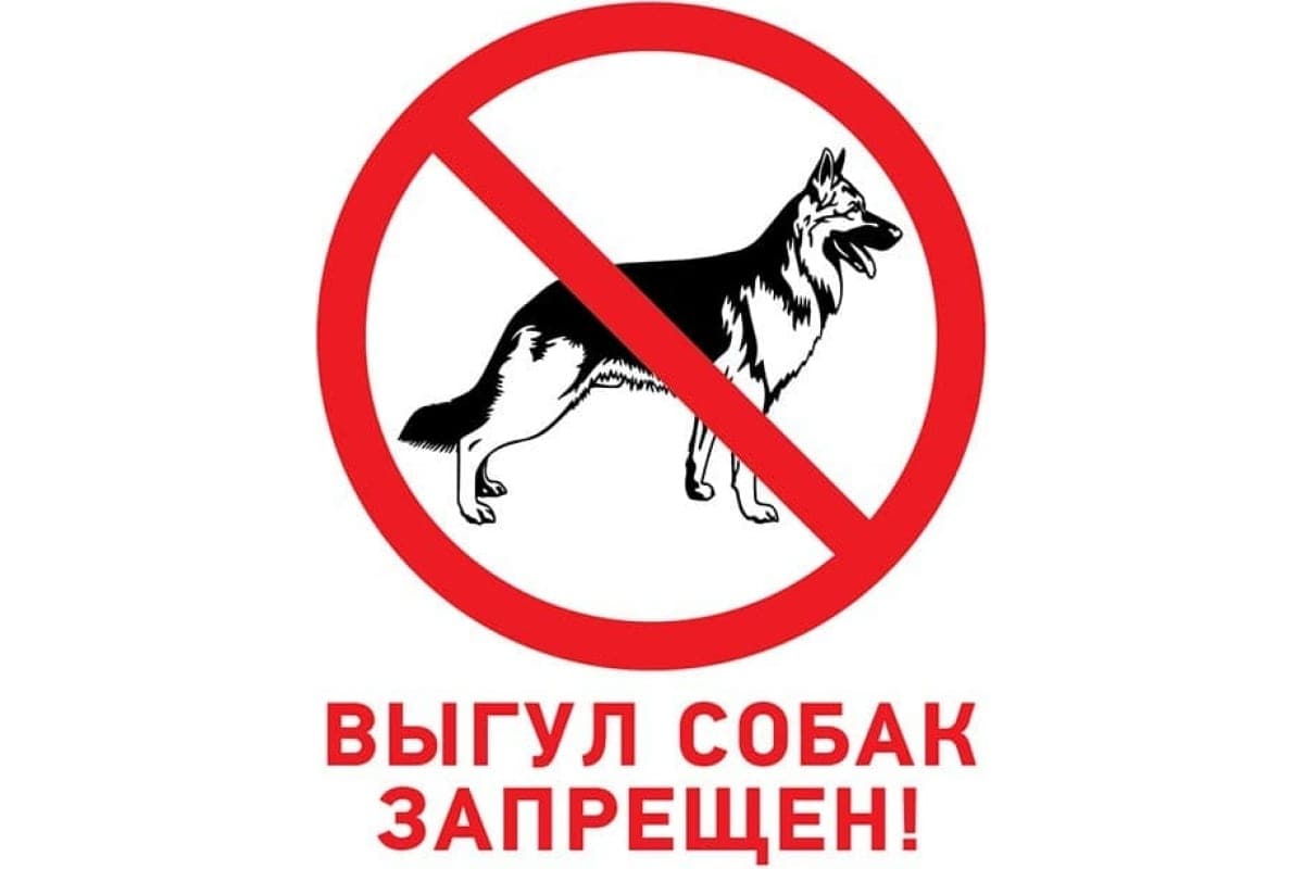 Табличка запрещающий знак Выгул собак запрещен 200х200 мм,