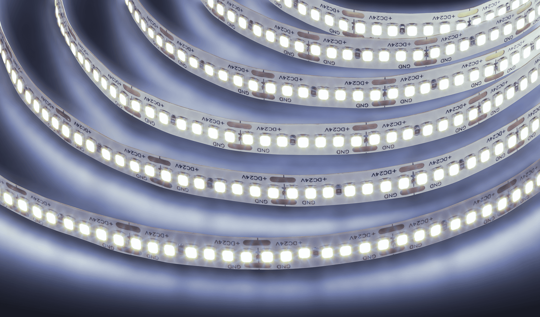 Лента светодиодная 18Вт/м 24В 6000К IP20 240LED/м NLS-2835 5м
