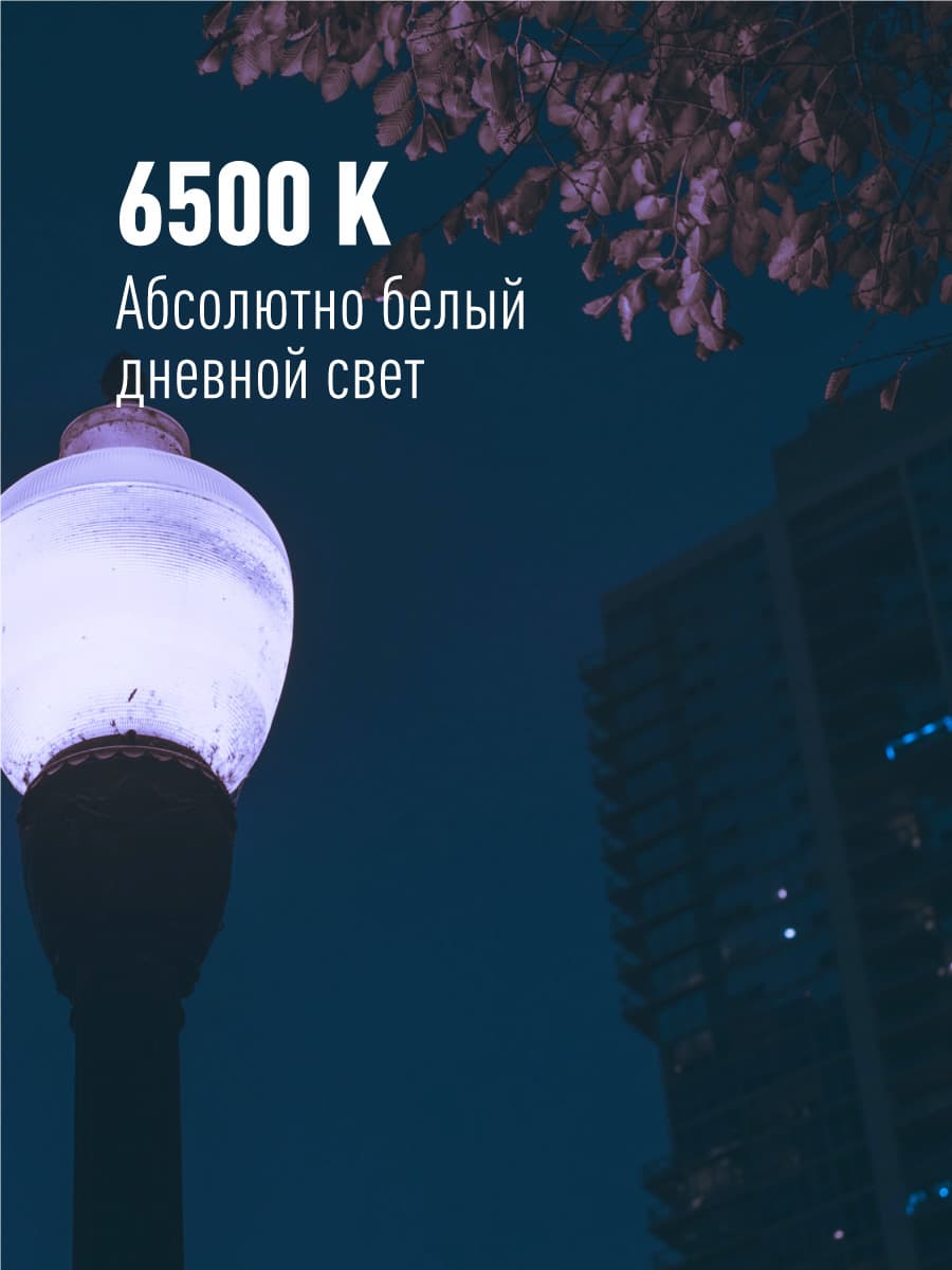 Лампа светодиодная LED 30Вт 220В Е27 D80х135 6500К дневной 2850 лм