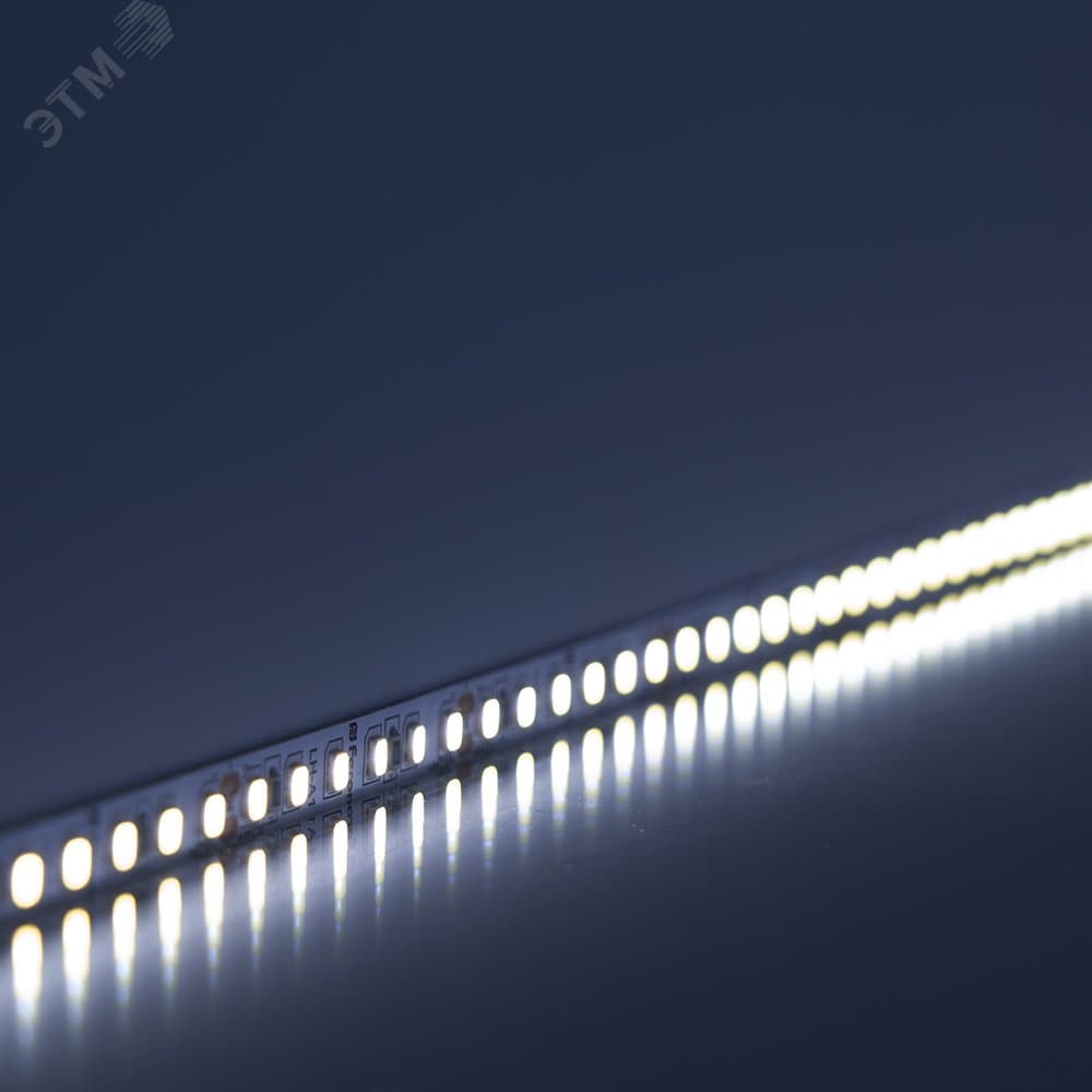 Лента светодиодная 11Вт/м 24В 6000К IP20 120LED/м LS501