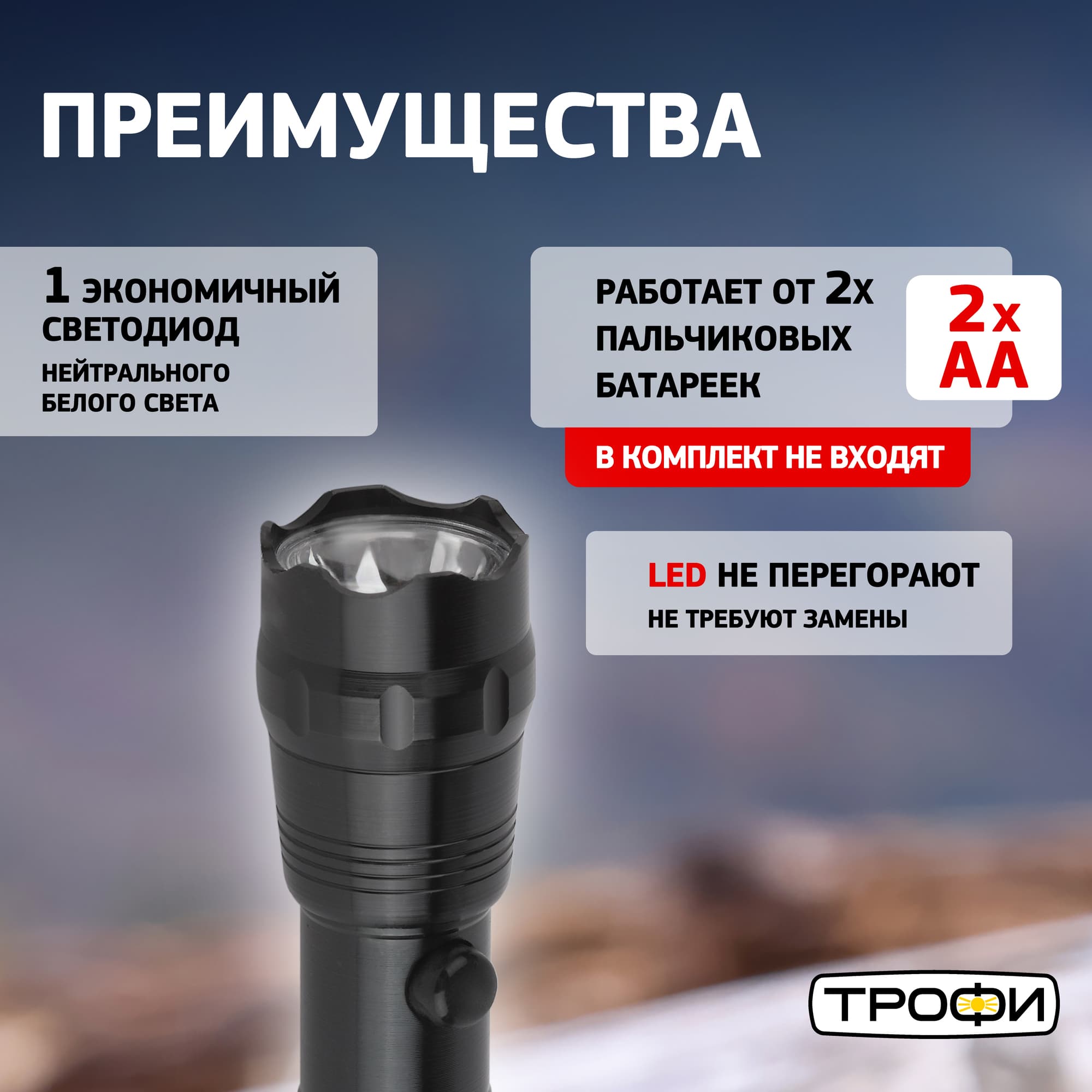 Фонарь TM1W Трофи 1x1W LED, алюм, 2хАА