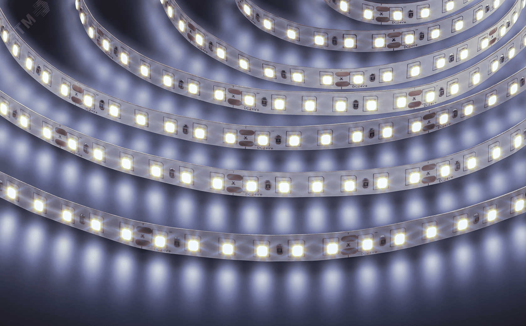 Лента светодиодная 9.6Вт/м 24В 6000К IP20 120LED/м NLS-2835 5м