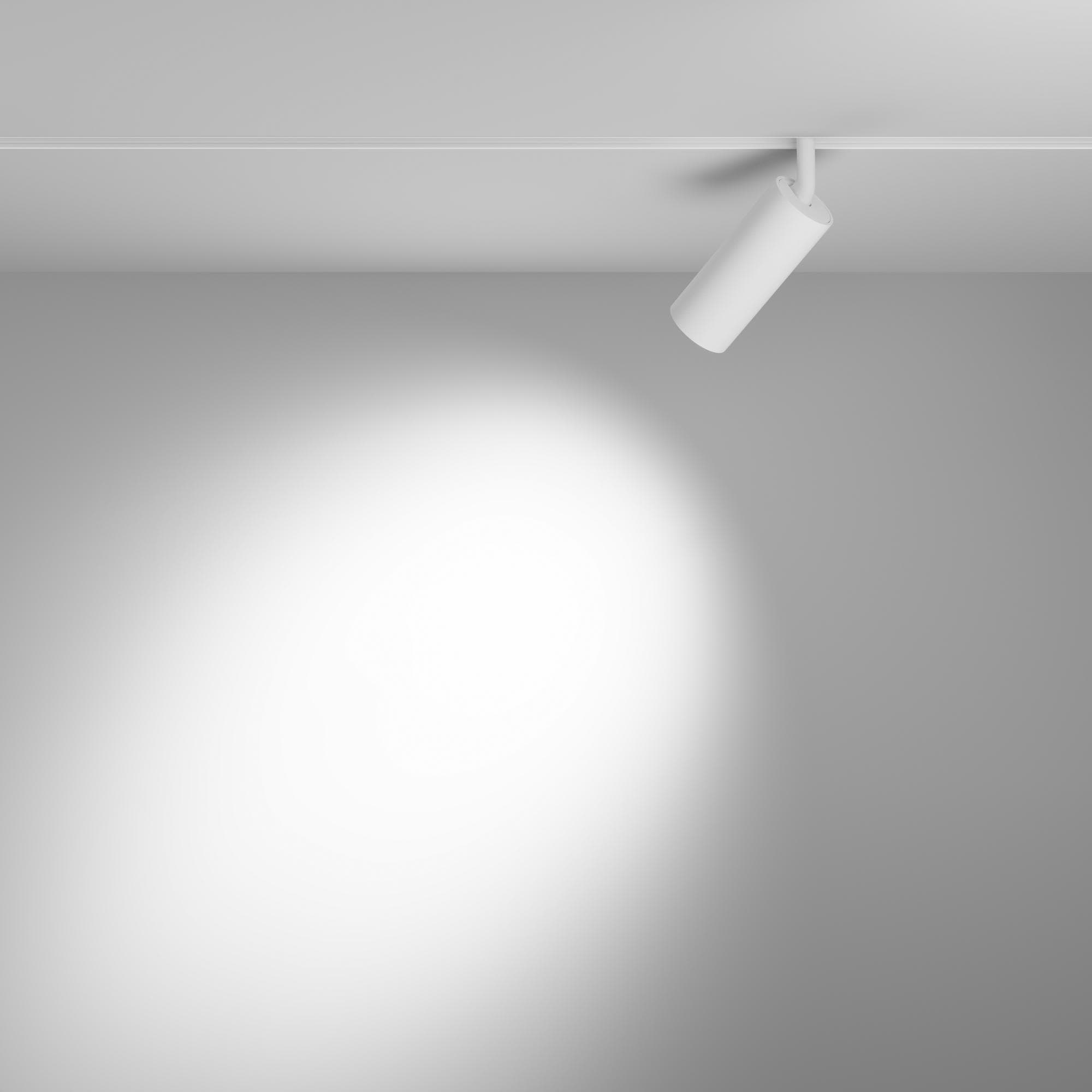 Светильник трековый Focus Led Exility 2700-6000K 12Вт 36 град Dim Smart Zigbee