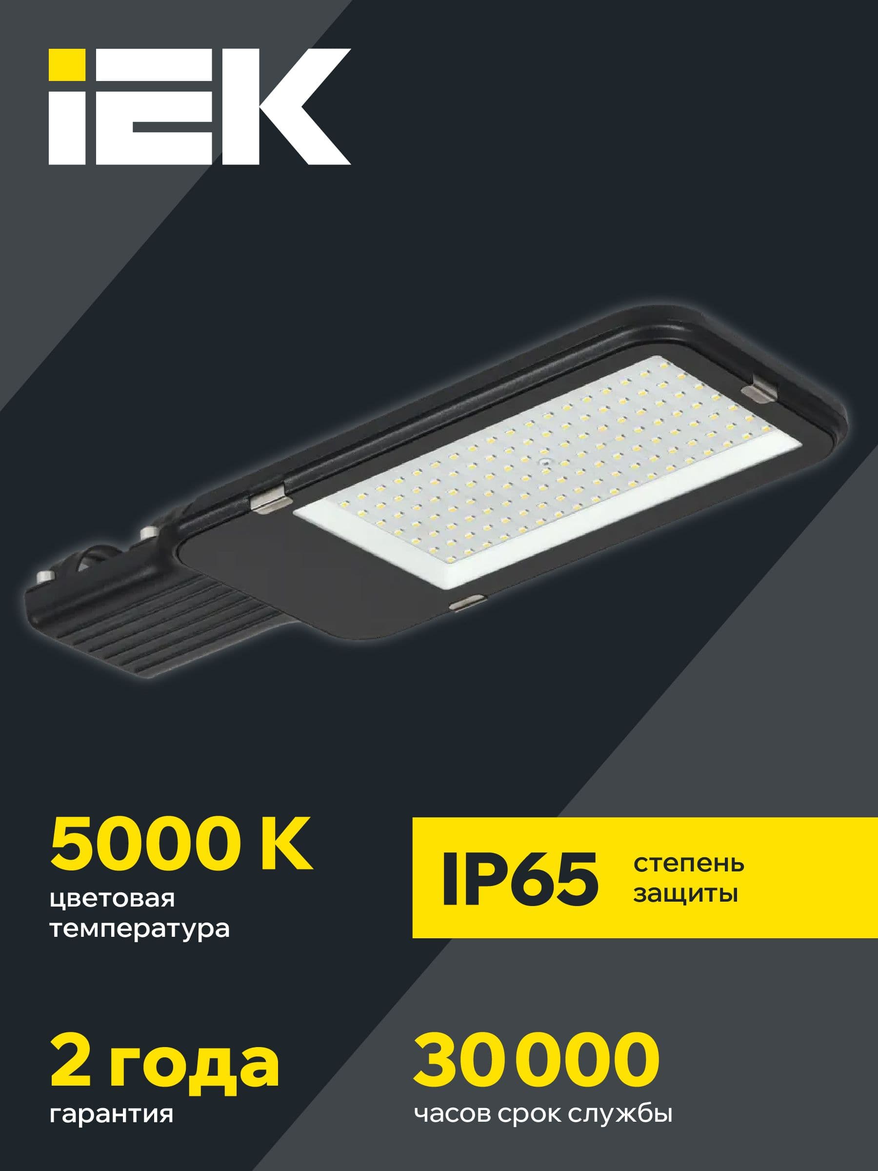 Светильник светодиодный консольный ДКУ 1013-100Д 5000К IP65