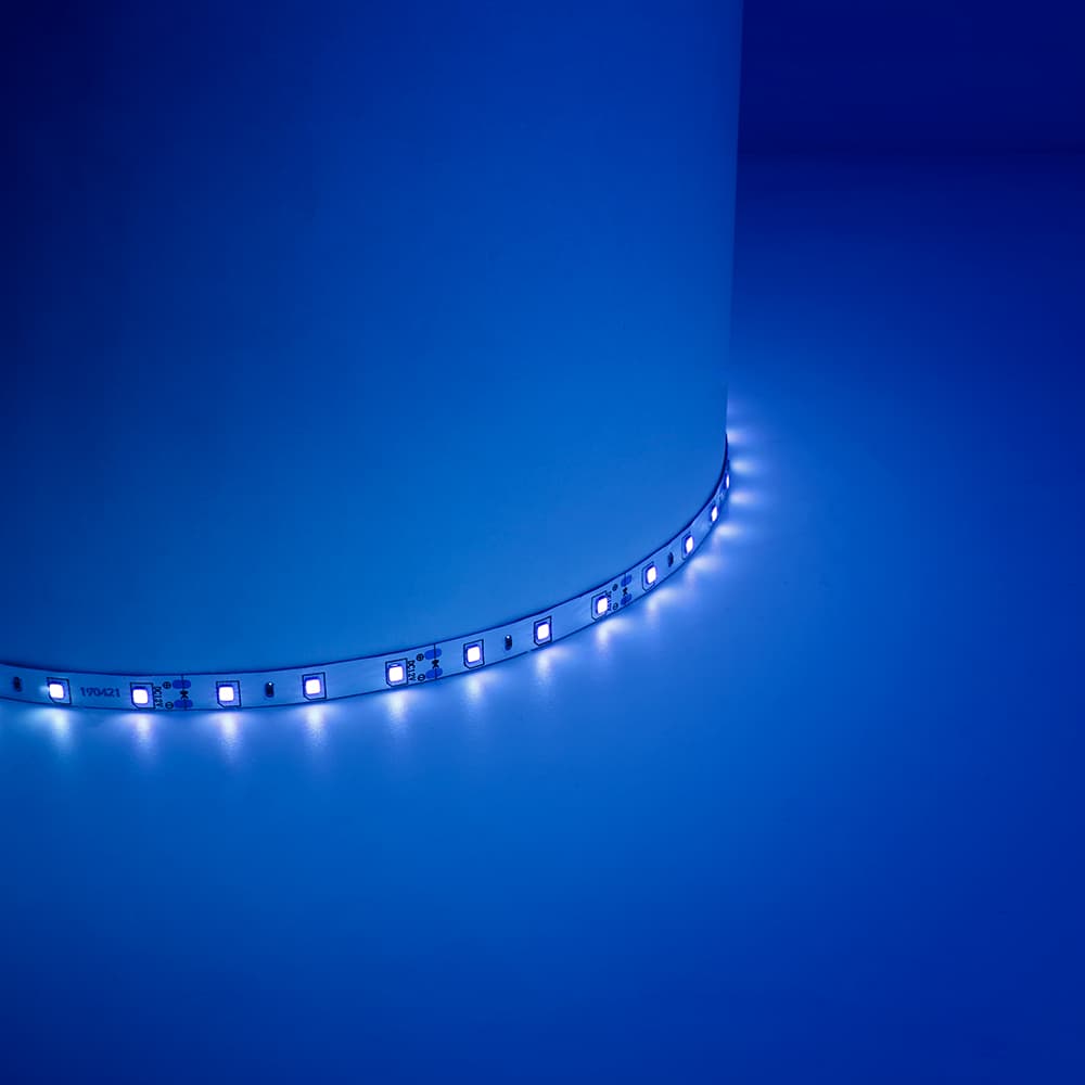 Лента светодиодная 4.8Вт/м 12В синий IP65 60LED/м LS604