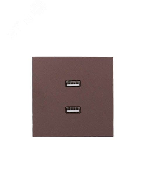 ZIMA Розетка 2-ая USB, механизм, шоколад Lezard 704-7388-192