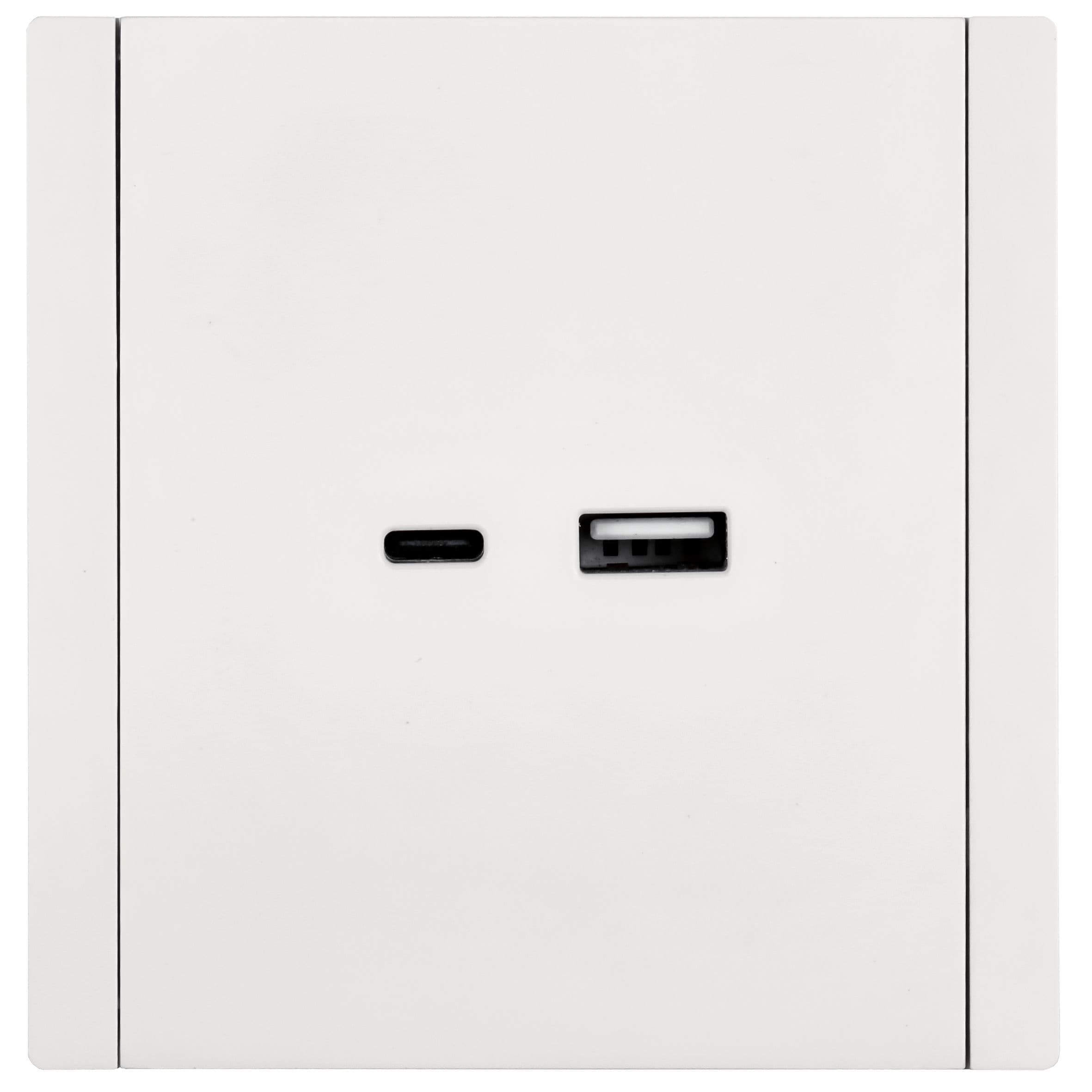FORTE&PIANO Розетка USB A+C 18Вт FP251 белый