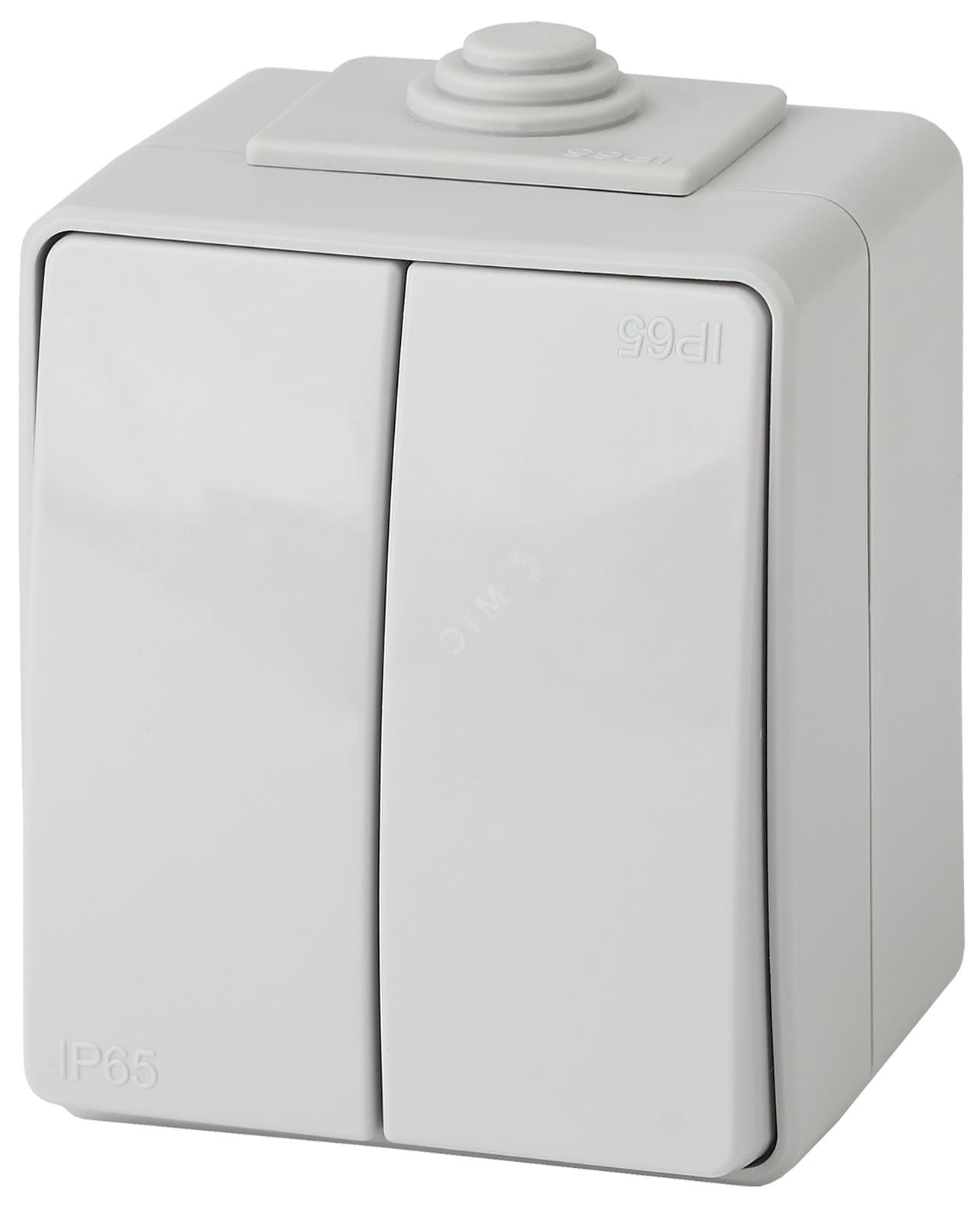 Выключатель двухклавишный наружный (открытой установки) IP65 серый 10А 250В винтовые зажимы ЭРА Эксперт 11-1604-03