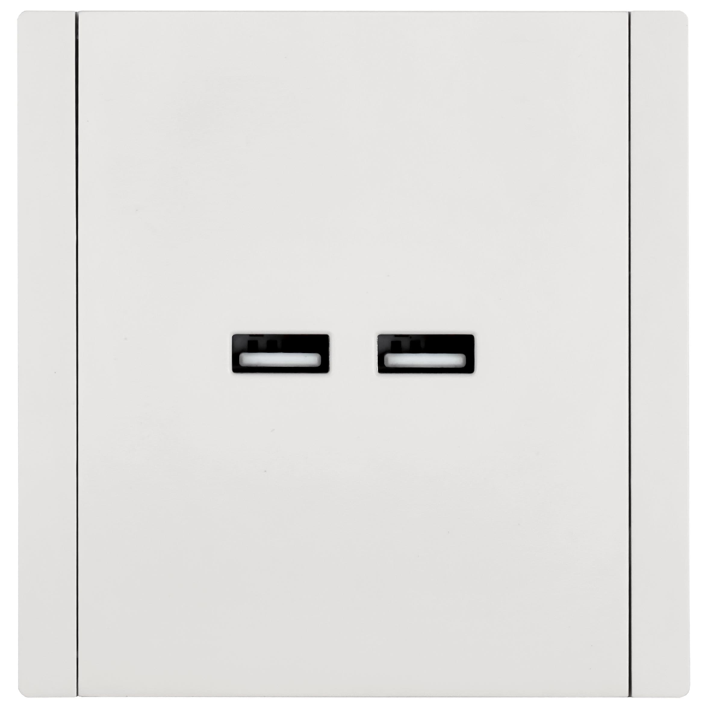 FORTE&PIANO Розетка USB A+A 3,1А FP249 белый