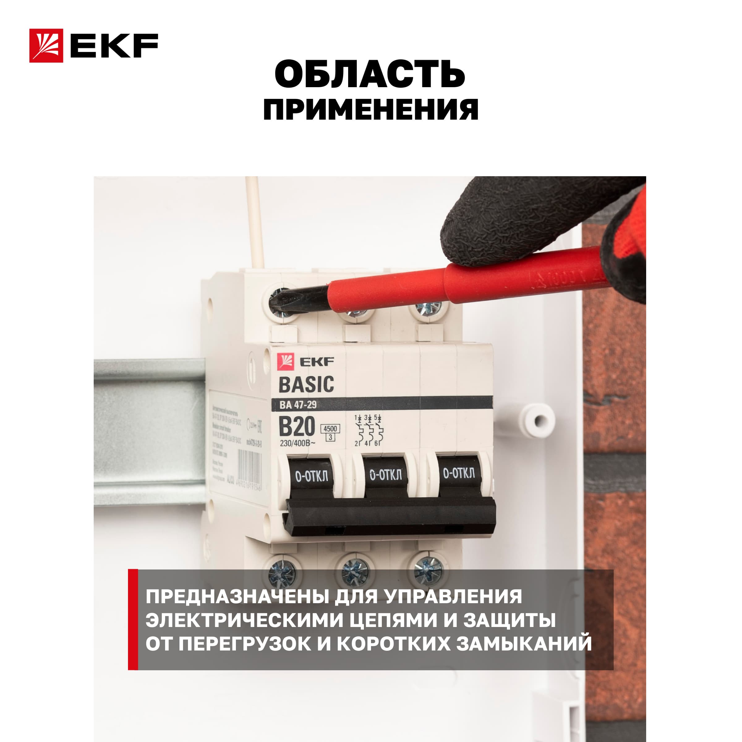 Выключатель автоматический 2P 25А (B) 4,5кА ВА 47-29 Basic