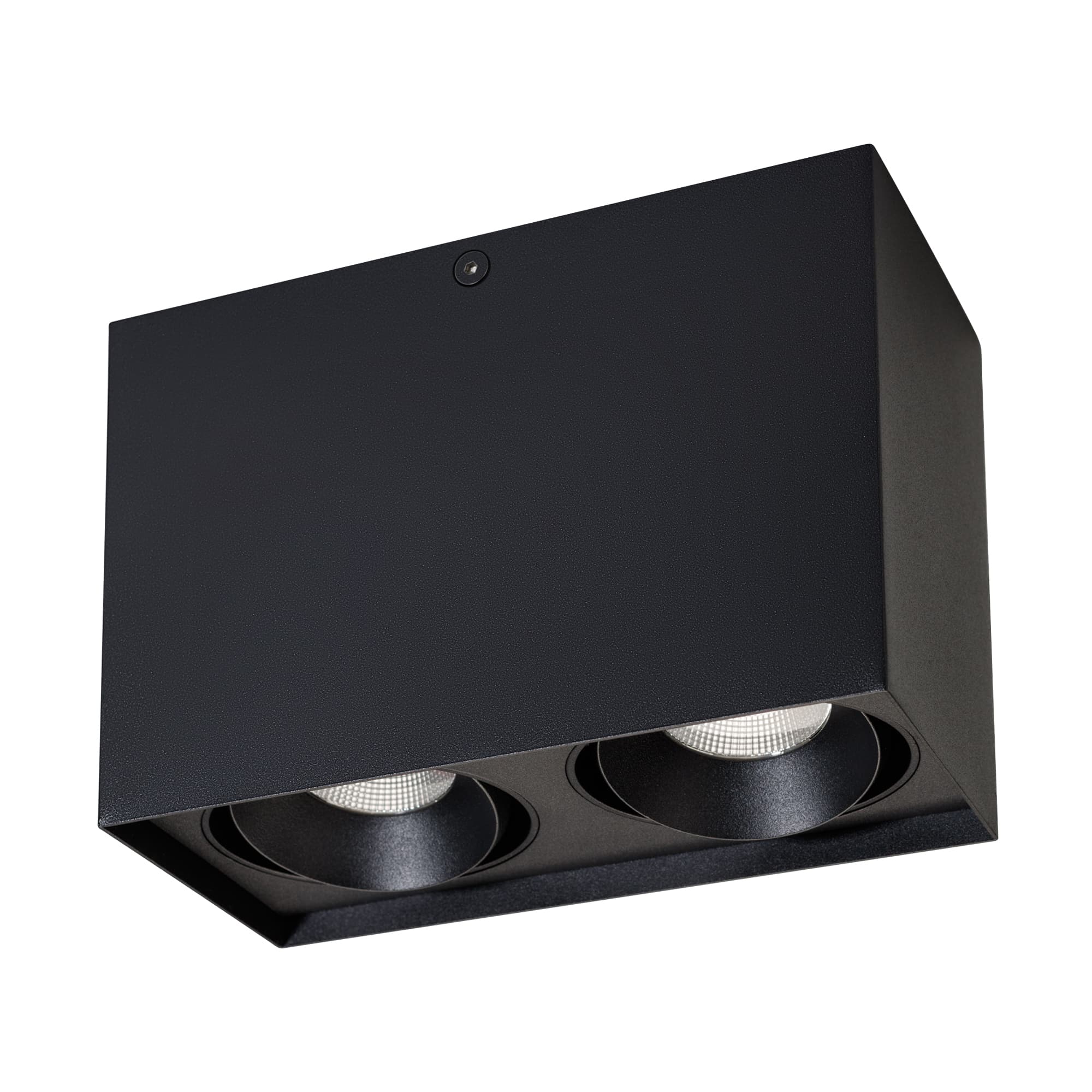 Светильник SP-CUBUS-S100x200BK-2x11W Day White 40deg IP20 металл 3 года