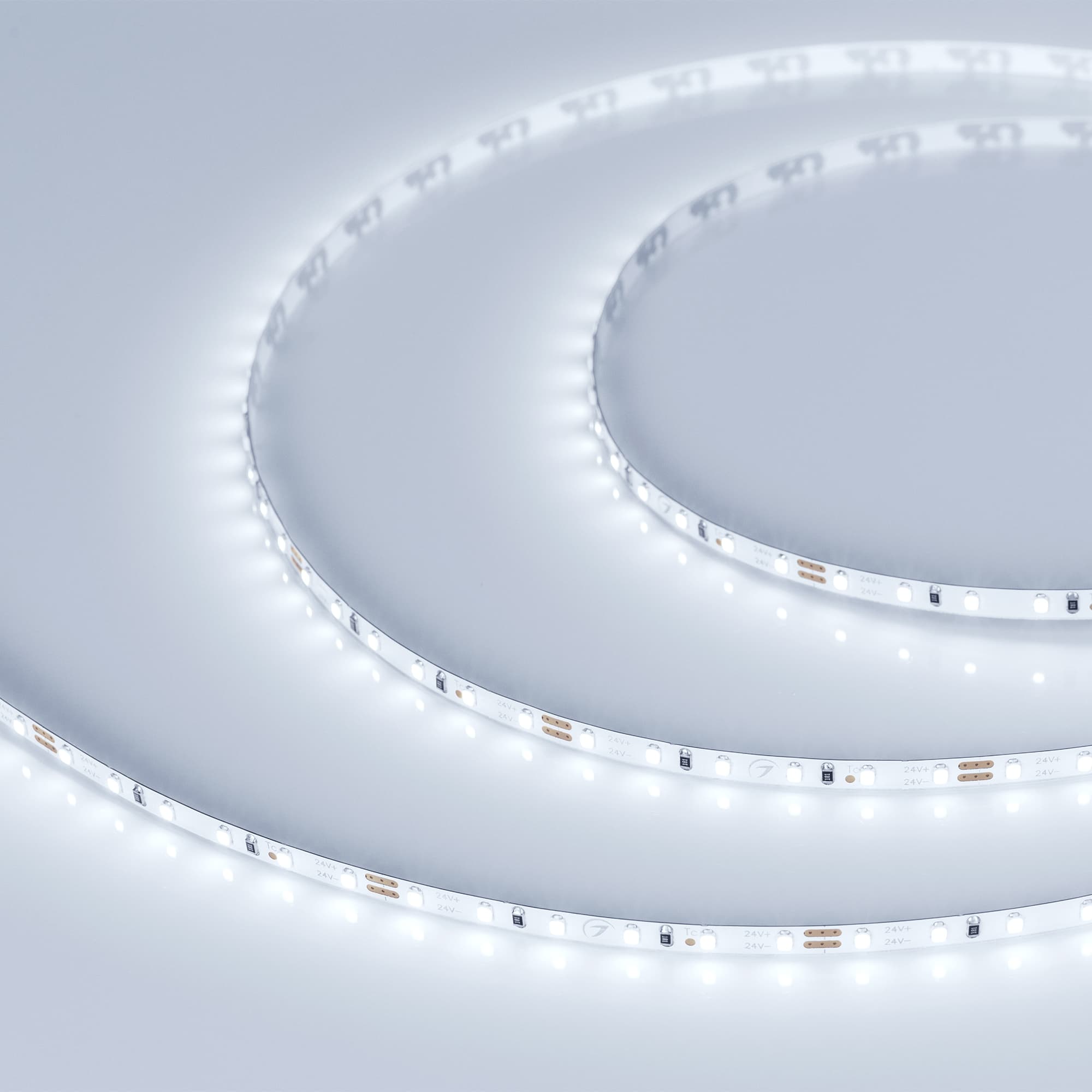Лента светодиодная 9.6 Вт/м 24В 8000K IP20 120LED/м MICROLED-M120-4mm SMD 2216 5 м
