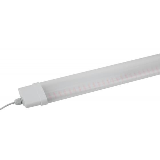 Светильник линейный красно-синего спектра FITO-36W-RB-N (10/240)
