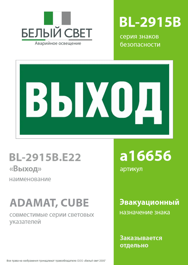 Знак безопасности BL-2915B.E22''Выход''