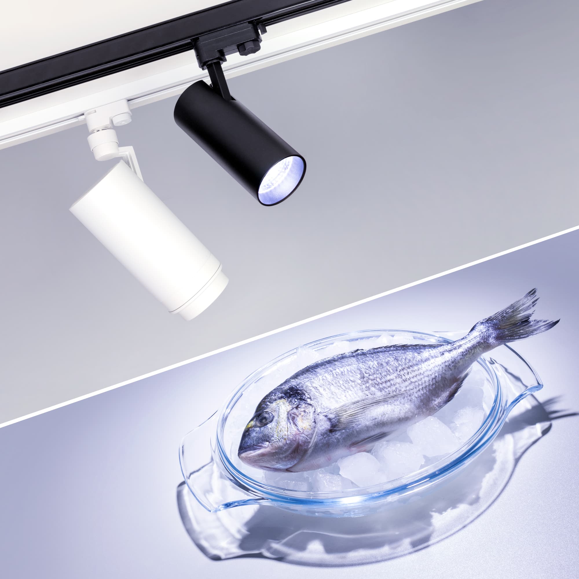 Экран ARH-KANT-H30-2000 Square Clear-PM (ARL, Пластик)