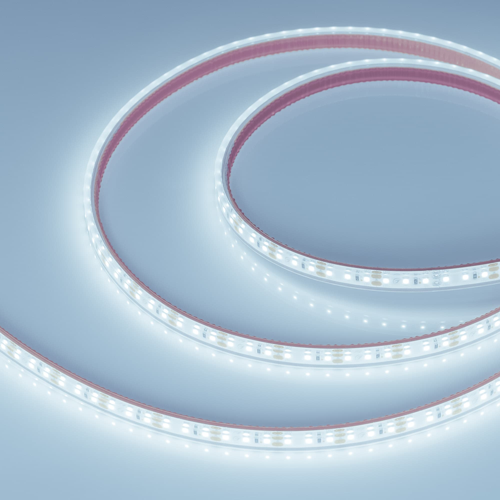 Лента светодиодная 9,6 Вт/м 12В IP68 10000K 120LED/м RT/RTW-A120-8-11mm SMD 2835 5 м