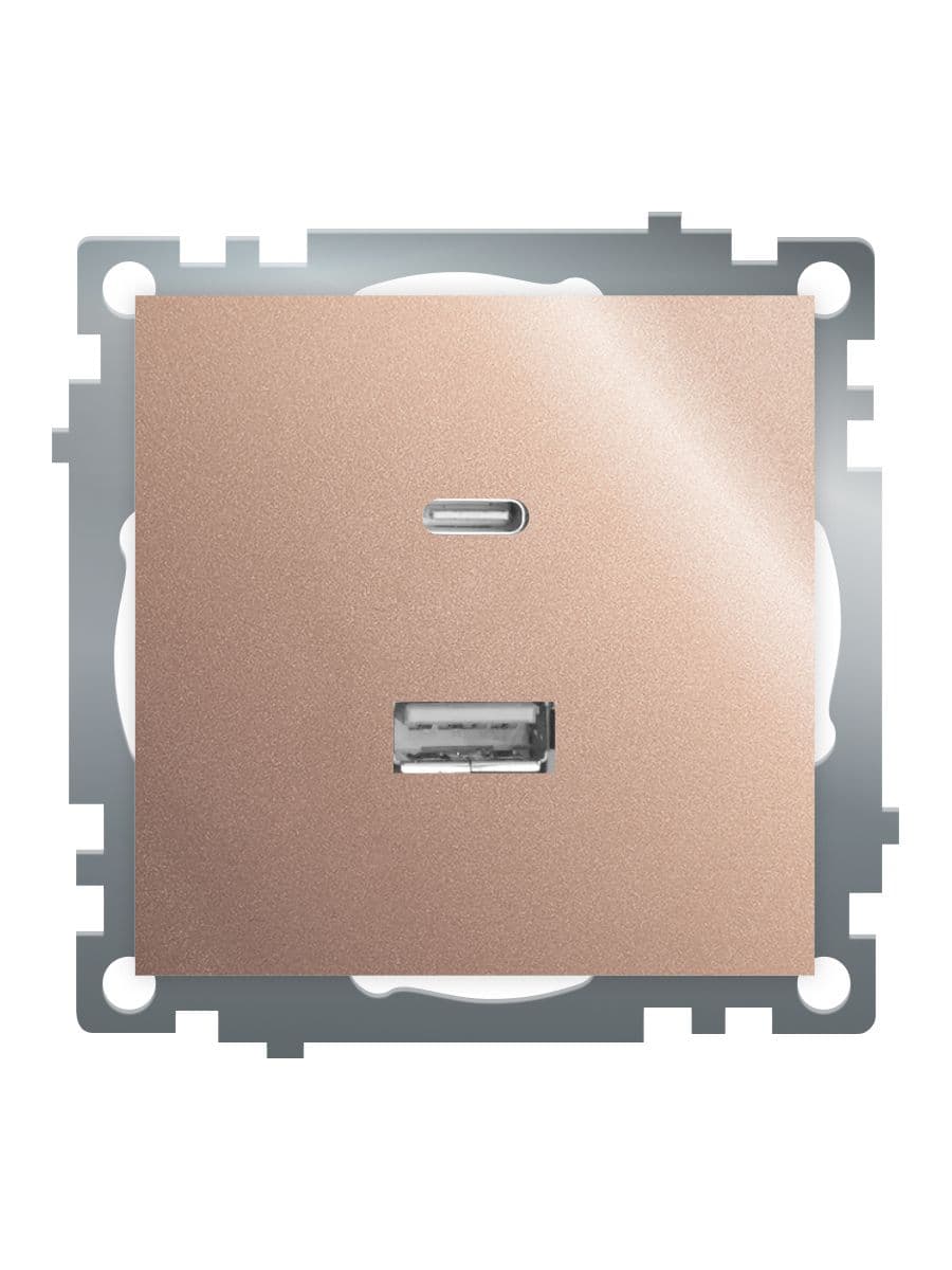 Розетка 2-местная USB+TypeC (механизм) 250В 3А max 20W серия Катрин шампань STEKKER
