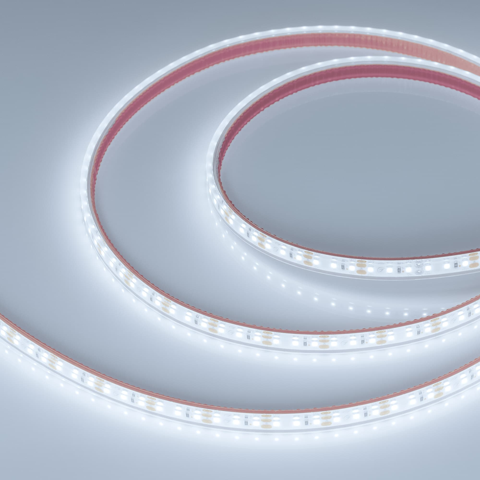 Лента светодиодная 9,6 Вт/м 12В IP68 6000K 120LED/м RT/RTW-A120-8-11mm SMD 2835 5 м