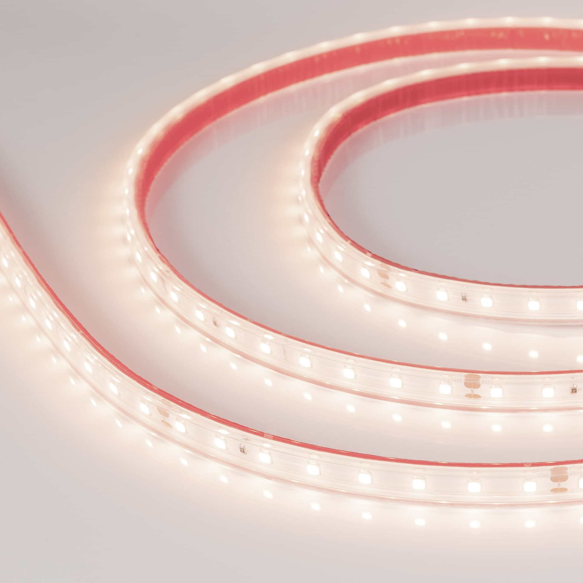 Лента светодиодная 6 Вт/м 24В IP67 3500K 80LED/м RT/RTW-A80-8-10mm SMD 2835 5 м