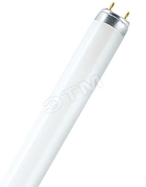 Лампа линейная люминесцентная ЛЛ 58вт L 58W/865 G13 дневная Osram
