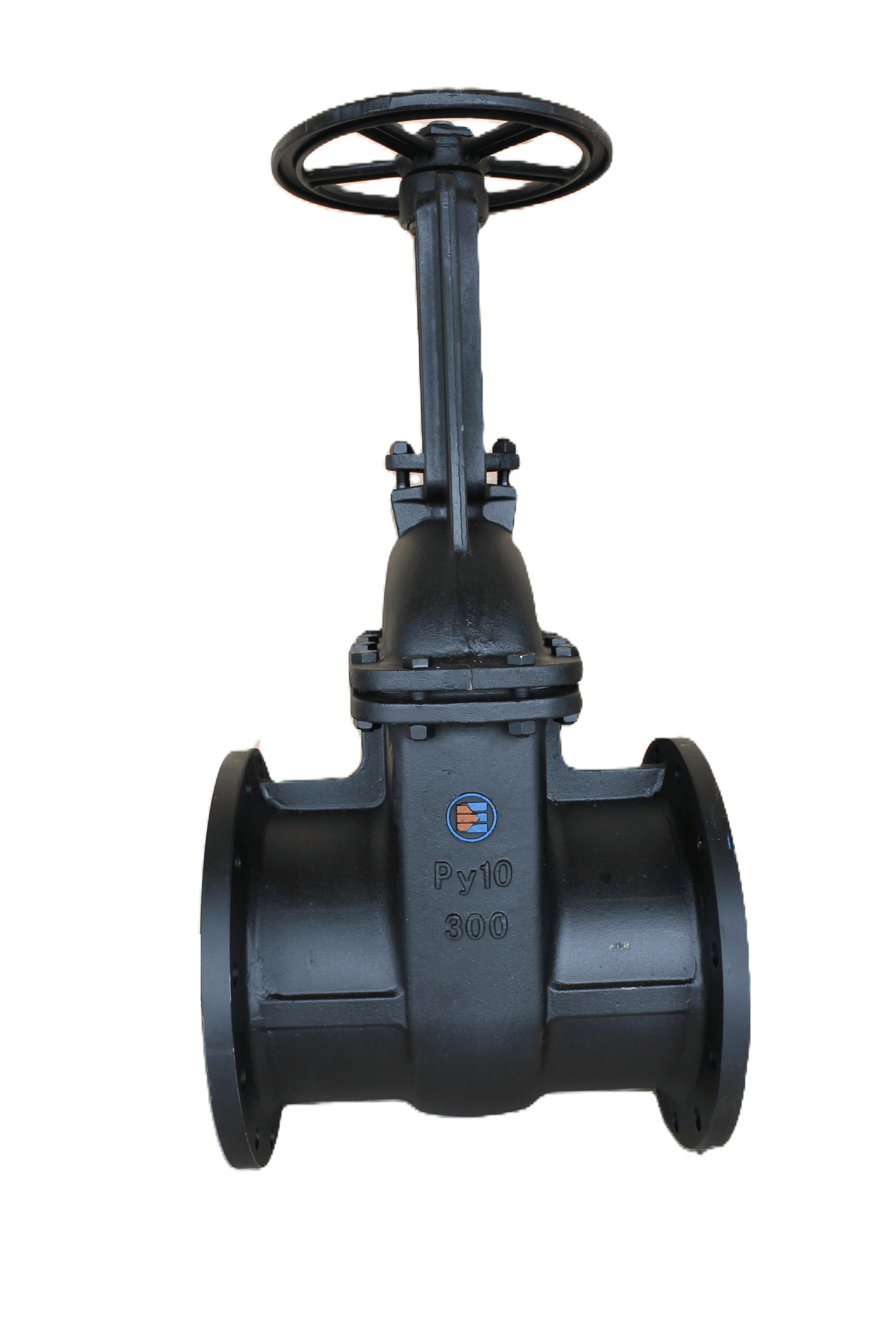 Задвижка чугунная 30ч6бр DN 125 PN 16