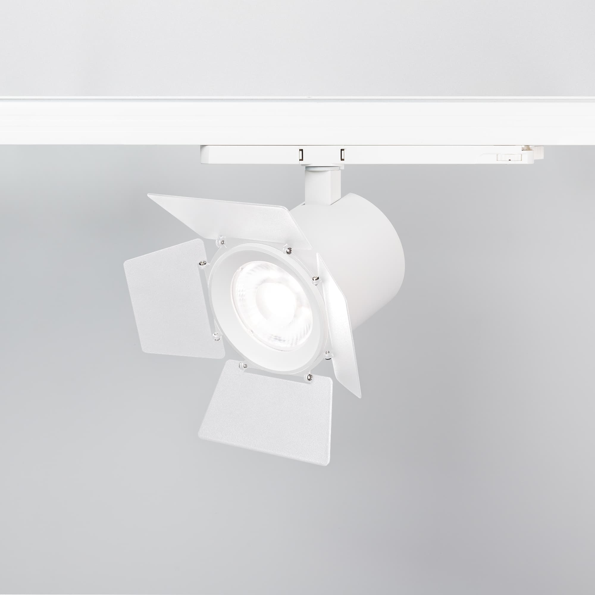 Бленда с посадочным кольцом LGD-NIKA-BDR-R100 (WH) (металл)