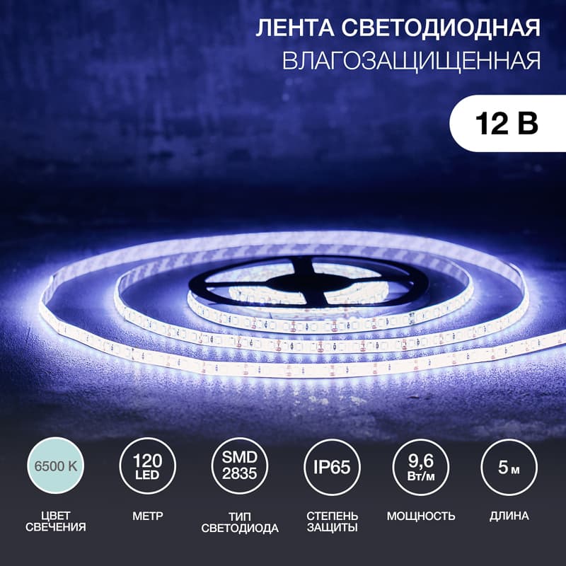 Лента светодиодная 9.6 Вт/м 12В 6500K IP65 LEDx120/м 5м SMD2835