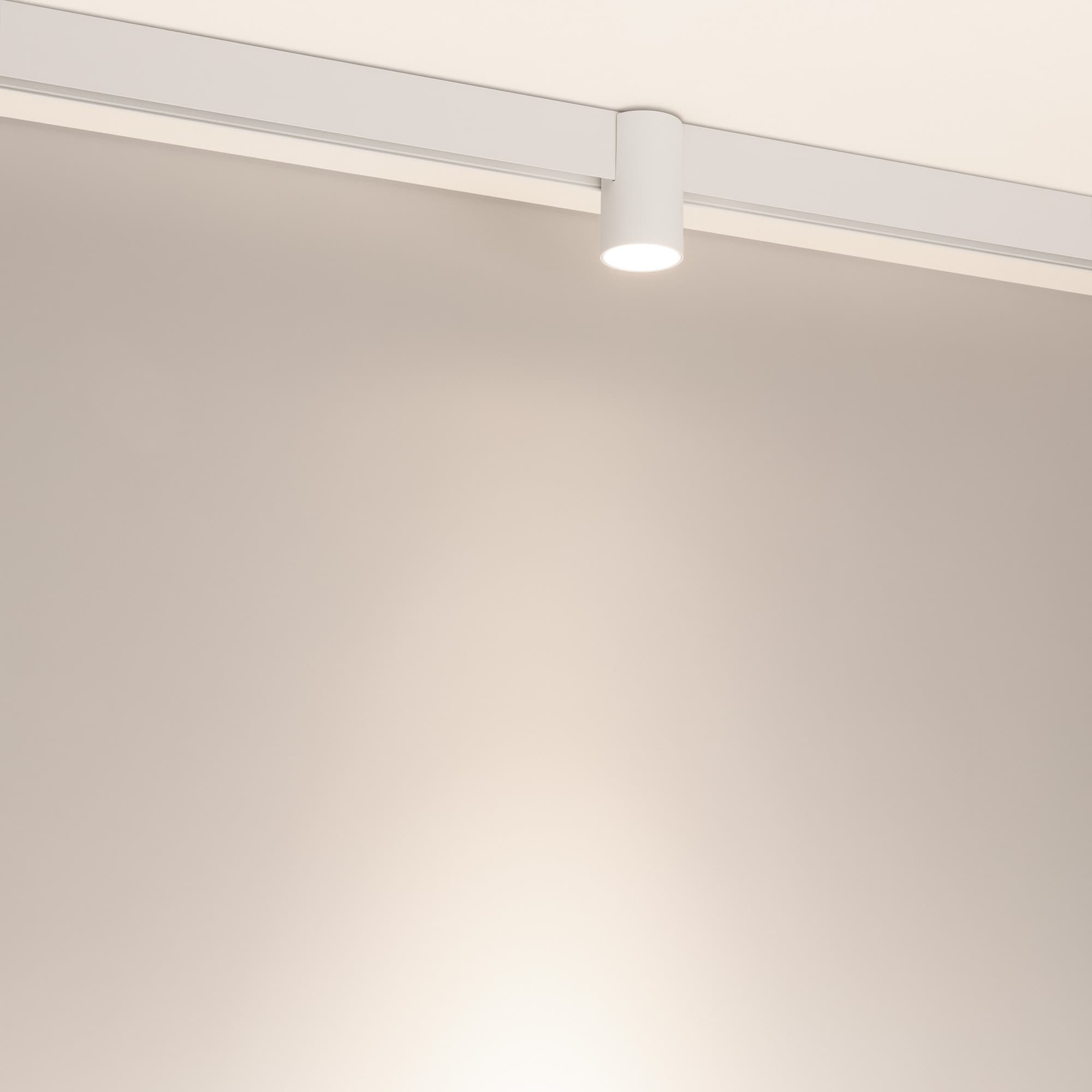 Светильник MAG-ORIENT-AXIO-R60-10W Day4000 (WH, 24 deg, 48V) (ARL, IP20 Металл, 5 лет)
