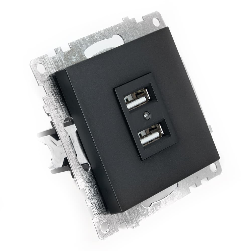 Розетка 2-местная б/з и с USB, Катрин, черный