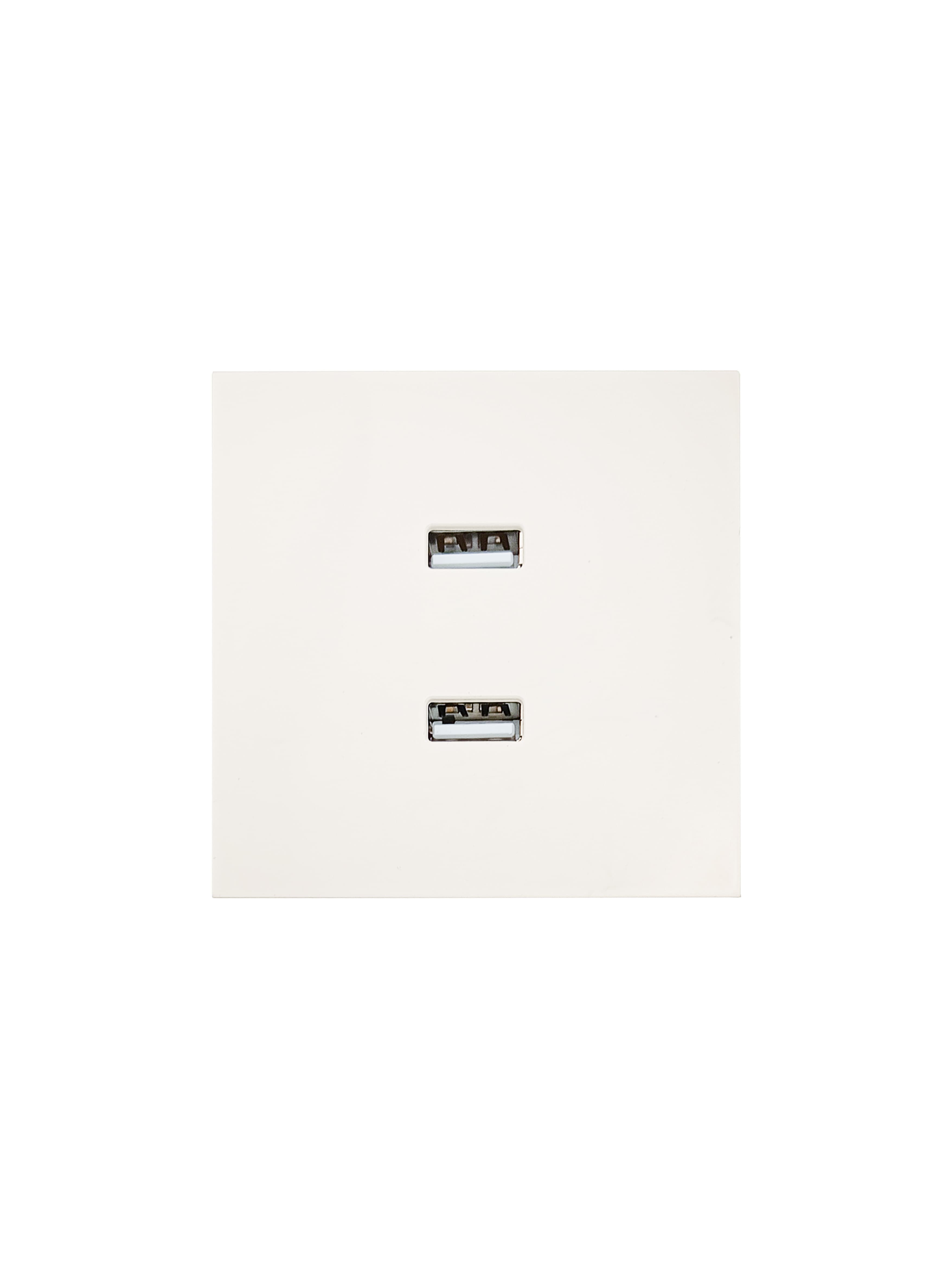 ZIMA Розетка 2-ая USB, механизм, слоновая кость Lezard 704-9088-192