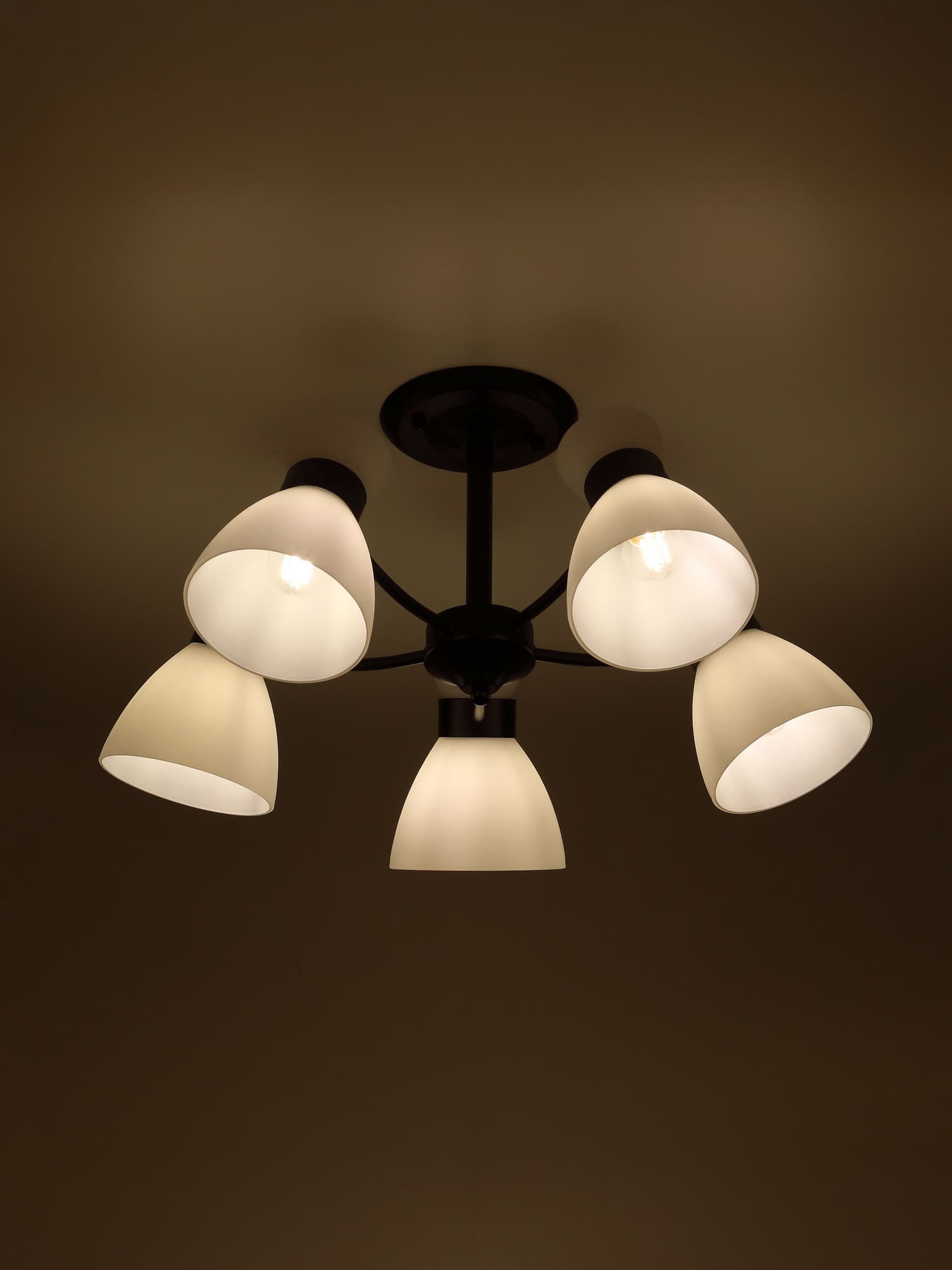 Люстра 9185-305 5хЕ27 60 Вт модерн Rivoli Aemilia