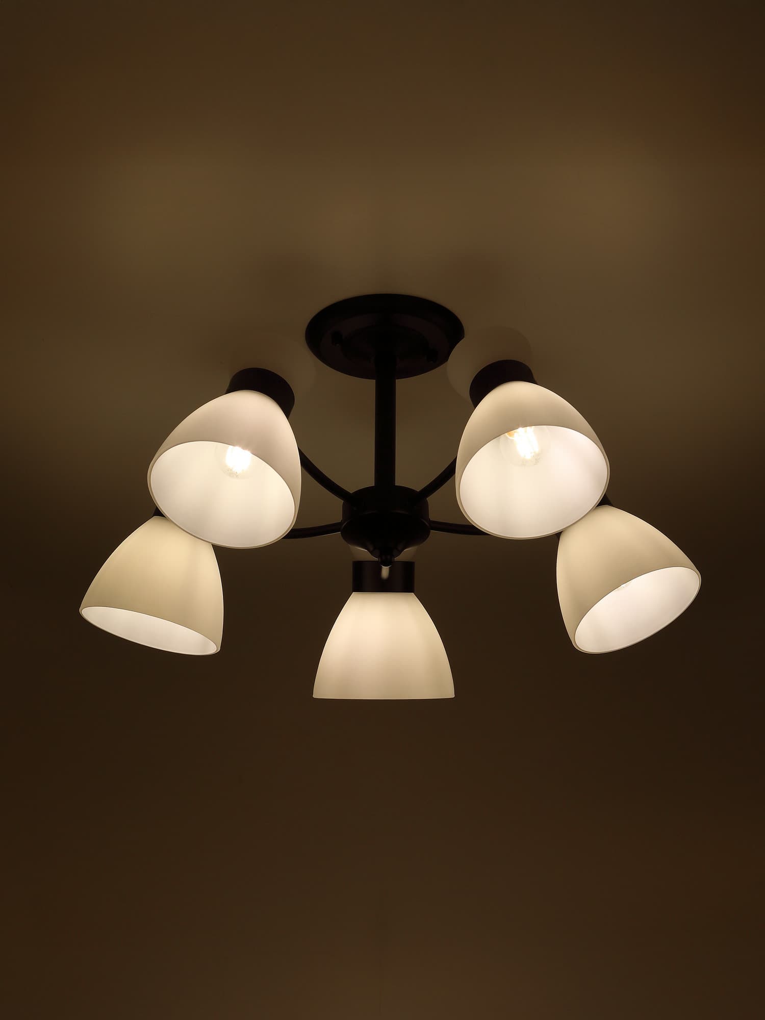 Люстра 9185-305 5хЕ27 60 Вт модерн Rivoli Aemilia