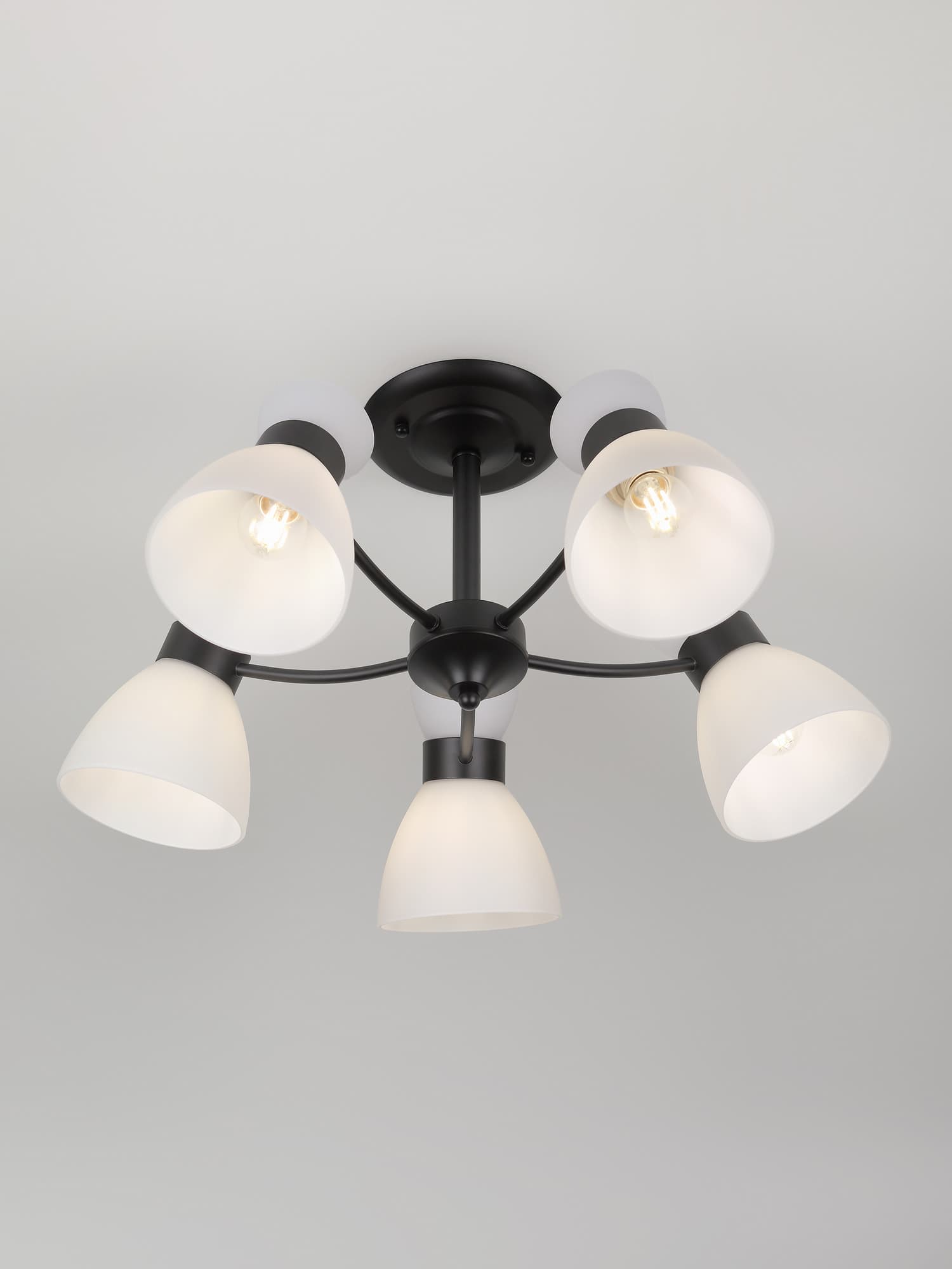 Люстра 9185-305 5хЕ27 60 Вт модерн Rivoli Aemilia