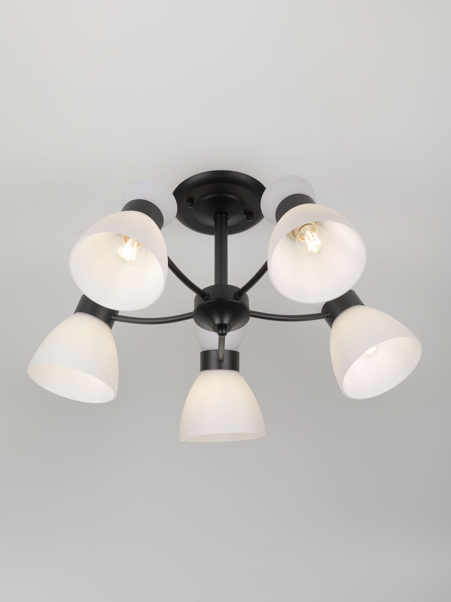 Люстра 9185-305 5хЕ27 60 Вт модерн Rivoli Aemilia