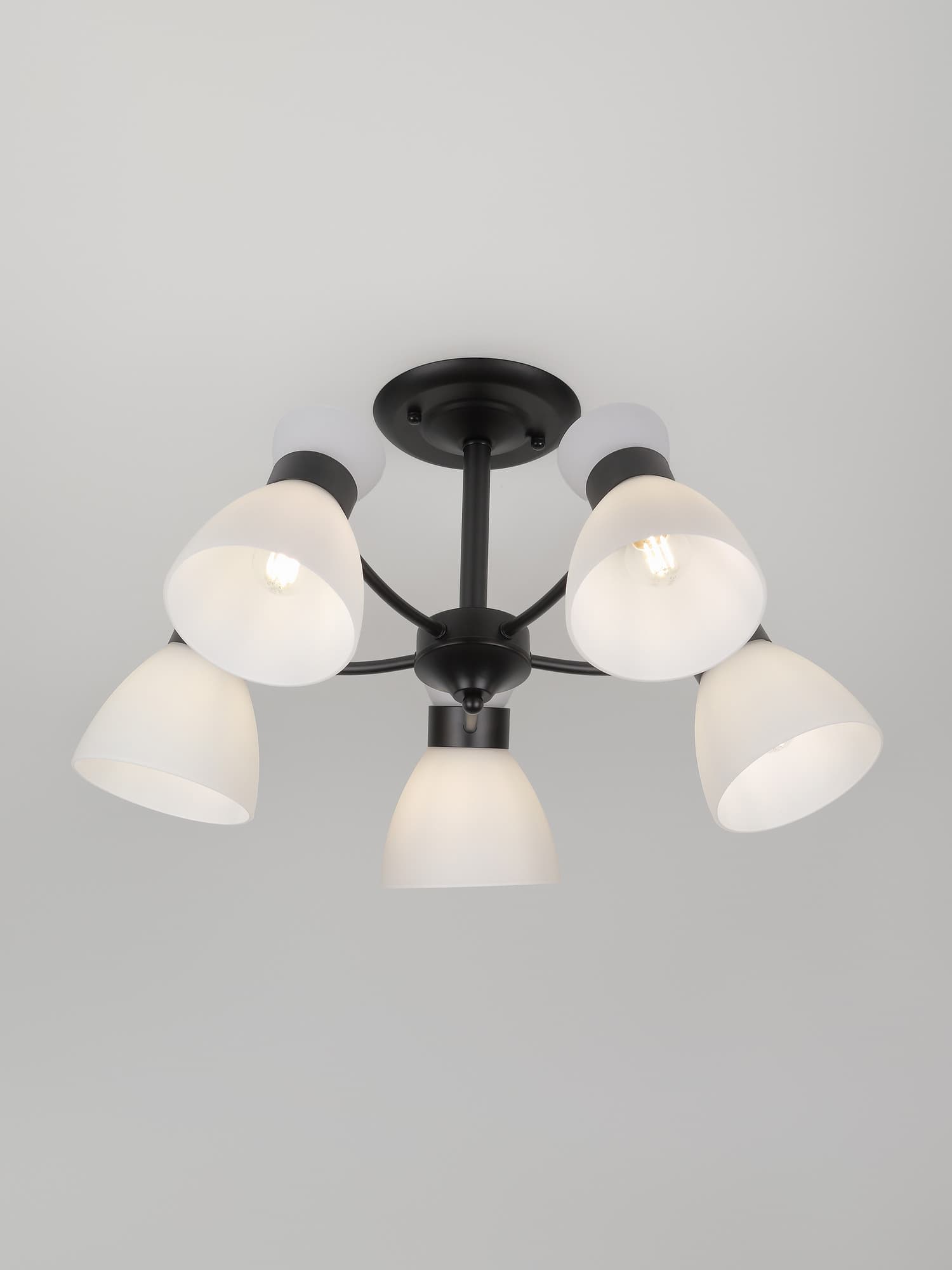 Люстра 9185-305 5хЕ27 60 Вт модерн Rivoli Aemilia