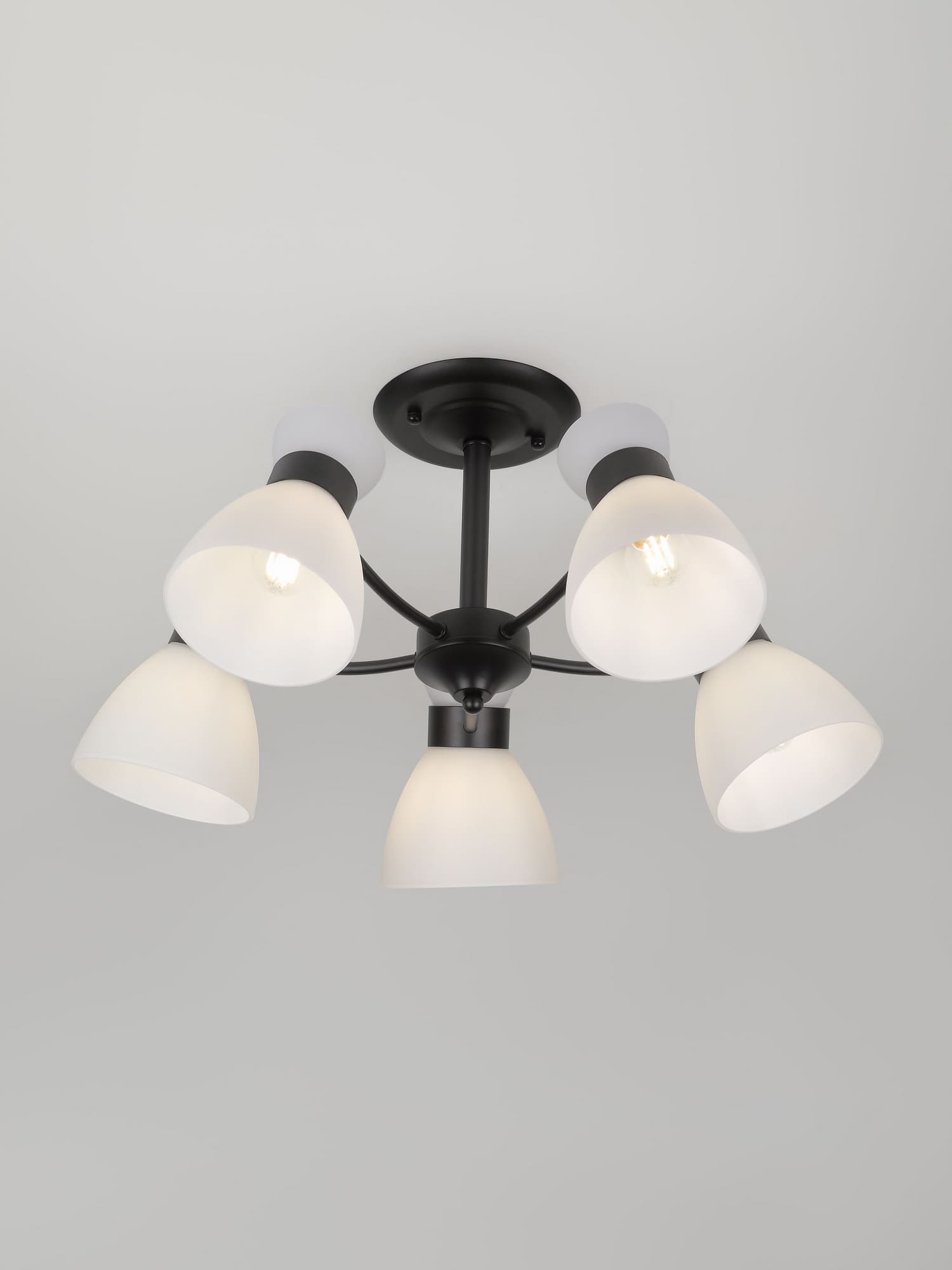 Люстра 9185-305 5хЕ27 60 Вт модерн Rivoli Aemilia