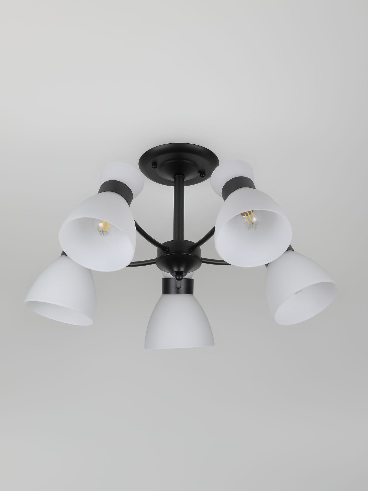 Люстра 9185-305 5хЕ27 60 Вт модерн Rivoli Aemilia
