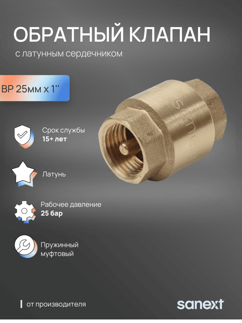 Клапан обратный ВР 1'