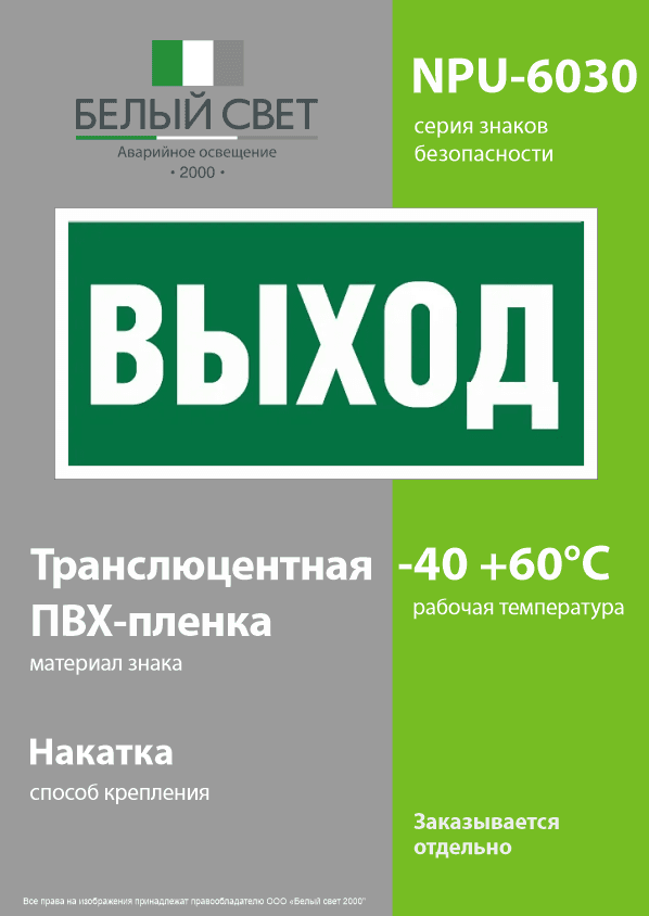 Знак безопасности NPU-6030.E22''Выход''