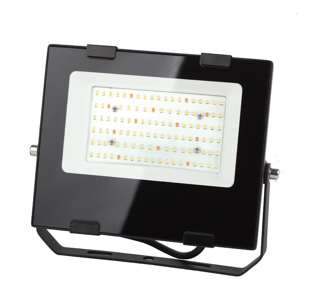 Прожектор светодиодный для цветения и плодоношения FITO-50W-Ra90-LED 10/300